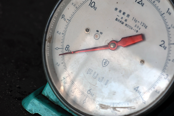 101124 6 DSC_6378.jpg